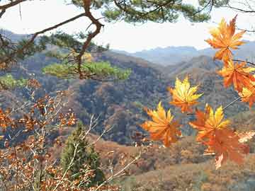 曹德旺：福耀科大8亿预算招50个学生